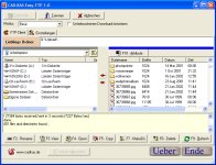 Screenshot vom Programm: Easy-FTP