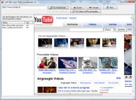Flash Video Downloader