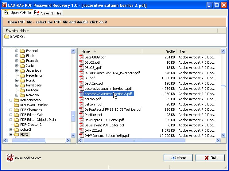 PDF Password Recovery screen shot